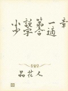 小说第一章写多少字合适