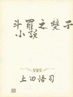 斗罗之双子斗罗 小说