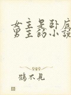 女主是卧底背叛男主的小说
