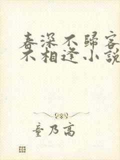 春深不归客清梦不相逢小说全文免费