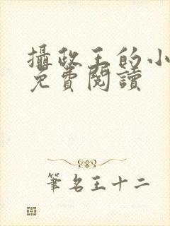 摄政王的小闲妻免费阅读