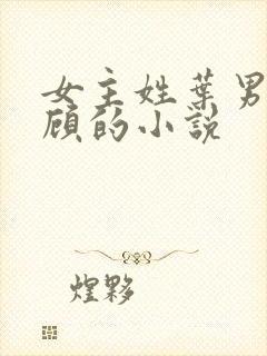女主姓叶男主姓顾的小说