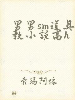 男男sm道具调教小说高h