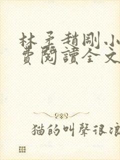 林柔赵刚小说免费阅读全文