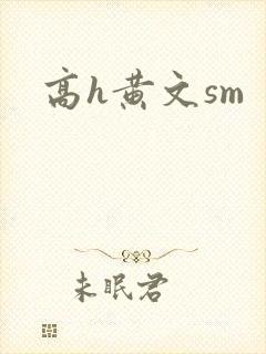 高h黄文sm
