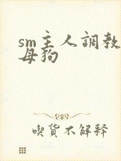 sm主人调教小母狗封面