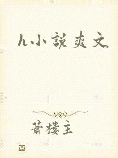 h小说爽文