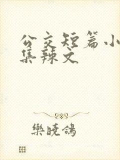 公交短篇小说合集辣文