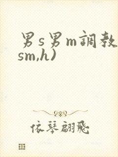 男s男m调教(sm,h)封面