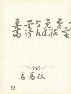 妻子5免费完整高清hd版电视剧封面