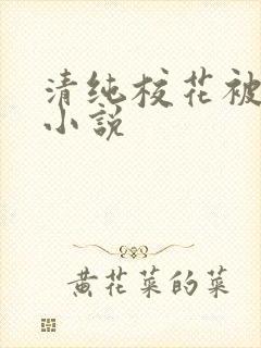 清纯校花被调教小说