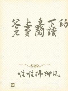 父上妻下的小说免费阅读