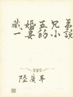 藏婚五兄弟共娶一妻的小说免费阅读
