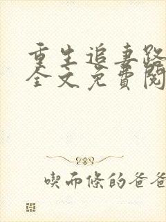 重生追妻路漫漫全文免费阅读