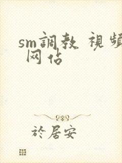 sm调教 视频 网站