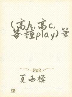 (高h,高c,各种play)笔趣阁