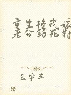 重生后我嫁给了老公的死对头 短剧