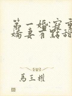 第一婚:宠重生娇妻有点甜