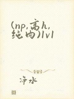 (np,高h,纯肉)1v1