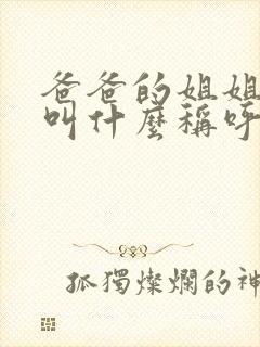 爸爸的姐姐丈夫叫什么称呼