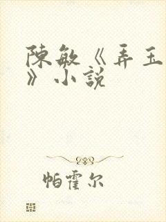 陈敏《弄玉偷香》小说封面