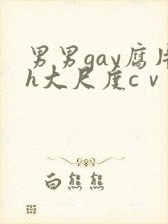 男男gay腐片h大尺度cⅴ小蓝封面