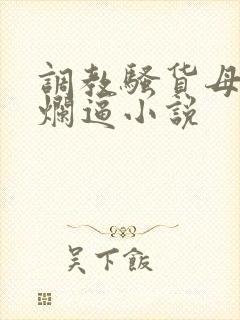 调教骚货母狗的烂逼小说封面