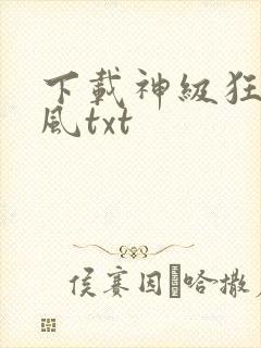 下载神级狂婿岳风txt