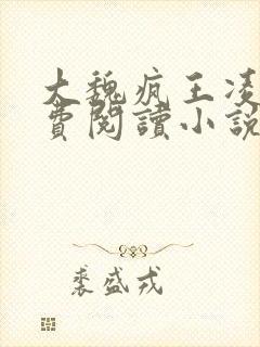 大魏疯王凌宁免费阅读小说封面