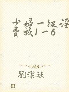 少妇一级淫片免费放1一6