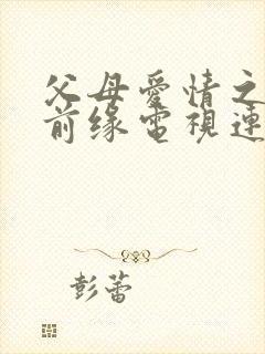 父母爱情之再续前缘电视连续剧