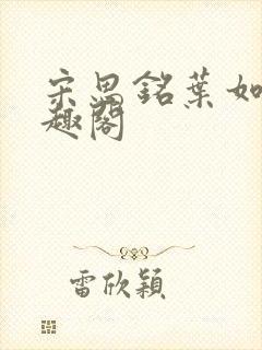 宋思铭叶如云笔趣阁