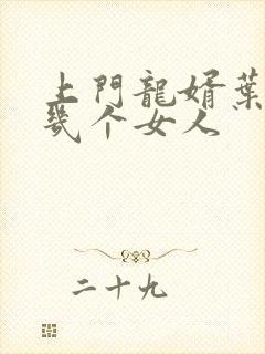 上门龙婿叶辰有几个女人