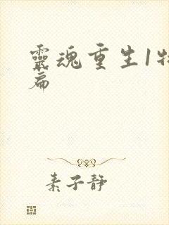 灵魂重生1特别篇