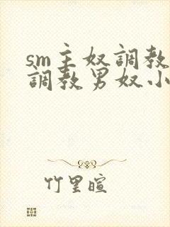 sm主奴调教:调教男奴小说