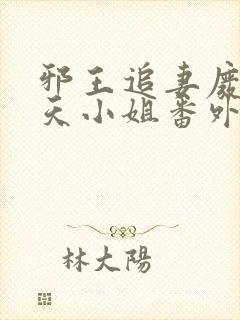 邪王追妻废材逆天小姐番外篇封面