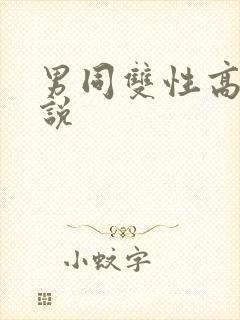 男同双性高h小说