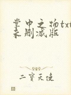 掌中之物txt未删减版封面