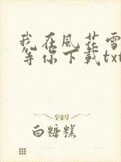 我在风花雪月里等你下载txt下