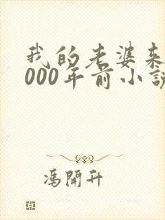 我的老婆来自1000年前小说免费阅读,无弹窗
