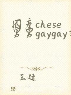 国产chese男男gaygay视频网站