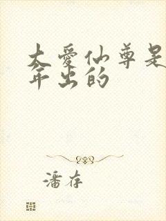 大爱仙尊是哪一年出的