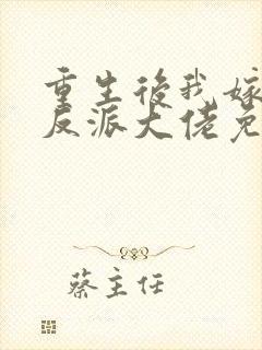 重生后我嫁给了反派大佬免费阅读封面