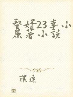 赘婿23事小说原著小说