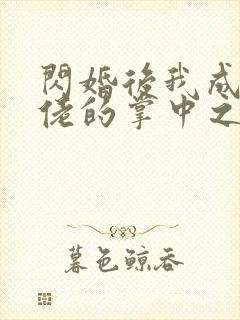 闪婚后我成了大佬的掌中之物免费阅读封面