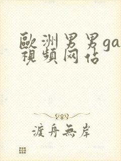 欧洲男男gay视频网站