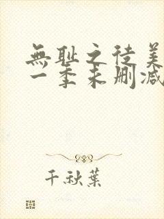 无耻之徒美剧第一季未删减版