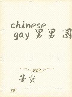 chinese gay 男男 国产