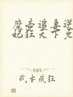 魔帝追妻逆天邪妃狂天下免费