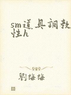sm道具调教双性h